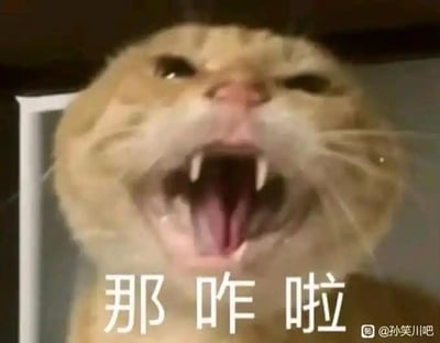 图片为一只橘猫的近距离特写，猫咪嘴巴大张，露出尖锐的牙齿和粉色牙龈，眼神略带凶狠，表情显得十分愤怒或不耐烦。图片底部有白色加粗文字“那咋啦”，传达出一种“那又怎么样”的挑衅或无所谓语气。右下角有水印“@孙笑川吧”。整体画面生动展现了猫咪的暴躁情绪，常被用作表达不满、反驳或无所谓态度的表情包。