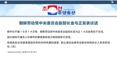 这是朝鲜中央通讯社（KCNA）的官方新闻页面截图，内容为朝鲜劳动党中央委员会副部长金与正于10月14日针对平壤无人机事件发表的谈话。谈话中明确指出事件的肇事者为韩国军方，并用强硬措辞将责任指向美国，称美国是豢养韩国的“主人”，需为此次事件负责。