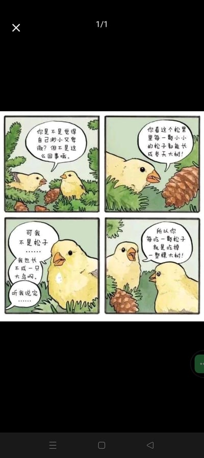 这是一幅四格卡通漫画，讲述了一只小鸟安慰另一只觉得自己渺小卑微的小鸟的故事：
1. 第一格：一只小鸟对着情绪低落的小鸟说“你是不是觉得自己渺小又卑微？但不是这么回事哦。”
2. 第二格：它指着松果说“你看这个松果里每一颗小小的松子都能长成参天大树！”
3. 第三格：低落的小鸟沮丧地说“可我不是松子……我也长不成一只大鸟啊。”，另一只小鸟让它“听我说完……”
4. 第四格：这只小鸟语出惊人：“所以你每吃一颗松子就是吃掉一整棵大树！”

漫画的笑点在于意外的逻辑转折，原本以为是常规的鼓励，结果用歪解松子和大树关系的无厘头逻辑来安慰，制造出荒诞搞笑的效果。