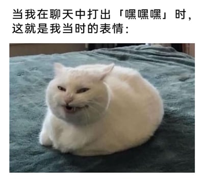 这是一张趣味表情包，上方配有文字“当我在聊天中打出「嘿嘿嘿」时，这就是我当时的表情：”，下方是一只趴在深绿色毯子上的白色猫咪，它眯着眼睛，嘴角歪扭，露出牙齿，表情猥琐又带着坏笑，精准对应了人们在聊天时打出“嘿嘿嘿”那种带着小狡黠、不怀好意的偷笑心情，非常贴合日常聊天的情绪表达，适合用来活跃聊天氛围。