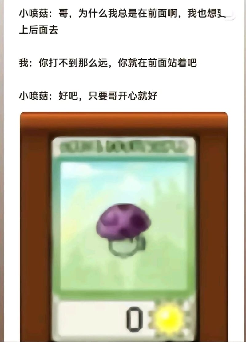 小喷菇
