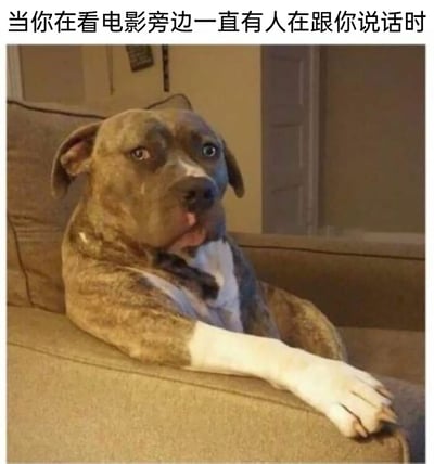 这是一张贴合日常场景的网络梗图，图片上方配有文字“当你在看电影旁边一直有人在跟你说话时”，图中主体是一只比特犬，它瘫坐在沙发扶手上，一只前爪搭在沙发边缘，眼神无奈，舌头半吐，表情带着嫌弃与隐忍的烦躁，精准还原了人们在专注观看电影时，被身边人不停搭话打扰，内心烦躁却又不便发作的无奈情绪，很容易引发网友的共鸣。