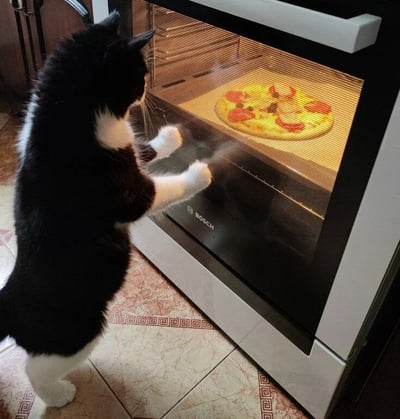 一只黑白相间的猫咪正站立起来，前爪搭在博世(Bosch)烤箱的玻璃门上，专注地盯着烤箱里正在烘烤的披萨。猫咪的表情看起来十分好奇和期待，似乎被披萨的香气和景象所吸引。烤箱内的披萨上有明显的红色配料，可能是番茄或意大利辣香肠，正在烤箱中被加热得微微冒泡。厨房的瓷砖地面和烤箱的金属质感形成了温馨的居家氛围。这张照片捕捉到了宠物对食物的本能好奇，展现了日常生活中有趣的瞬间。