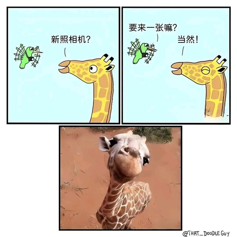 小鸟