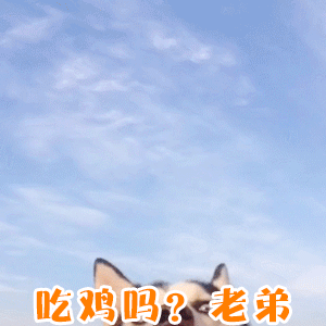 哈士奇在线邀玩：吃鸡吗？老弟