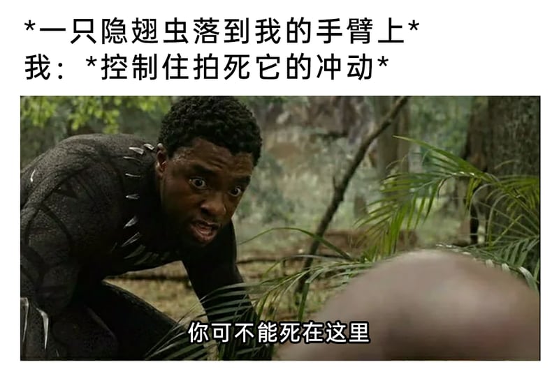 漫威电影《黑豹2》