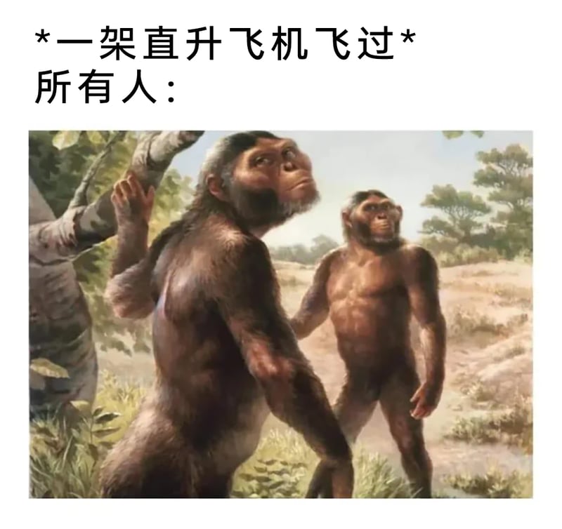 人类演化科学复原插画