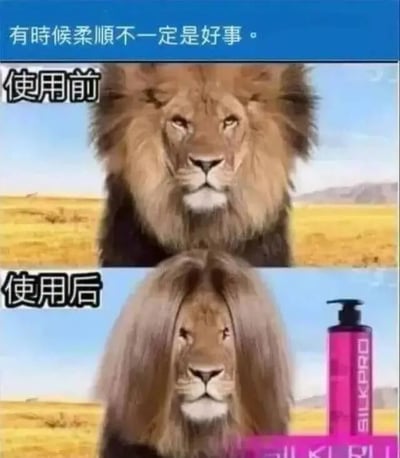 这是一张上下对比的搞笑梗图。上图展示鬃毛浓密狂野的狮子，标注‘使用前’；下图狮子鬃毛变为柔顺直发，旁配粉色SILKPRO洗发水，标注‘使用后’。顶部文字‘有时候柔顺不一定是好事’点出笑点——狮子失去霸气变滑稽，通过夸张产品效果制造幽默。
