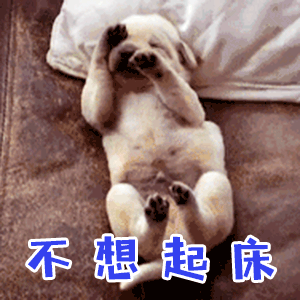 小奶狗赖床不想起床动态表情包
