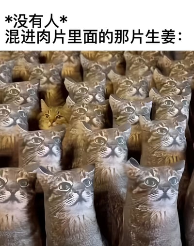 图片上方有文字“*没有人* 混进肉片里面的那片生姜：”，下方是大量印有猫脸图案的抱枕，这些抱枕大多是灰黑色的虎斑猫形象，表情一致地向前看。在众多虎斑猫抱枕中间，有一个黄色的小猫抱枕显得格外突出，如同混在肉片里的那片生姜，通过猫咪抱枕的视觉对比，幽默地呈现了“混入异类”的日常场景。
