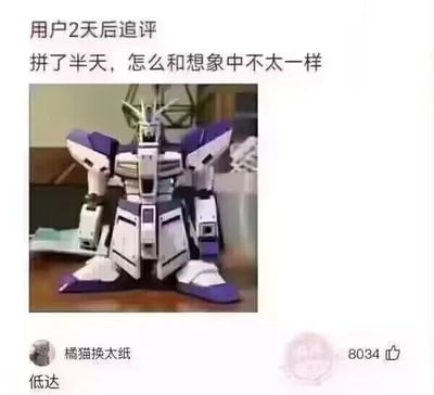 图片为用户两天后的追评内容，上方文字写着‘用户2天后追评 拼了半天，怎么和想象中不太一样’，中间是一张紫色与白色相间的模型照片（疑似高达模型，但用户在下方标注‘低达’，可能是谐音梗或拼写错误），左下角有用户名‘橘猫换太纸’，右下角显示8034个点赞。整体呈现出用户拼装模型后与预期不符的无奈与搞笑场景。