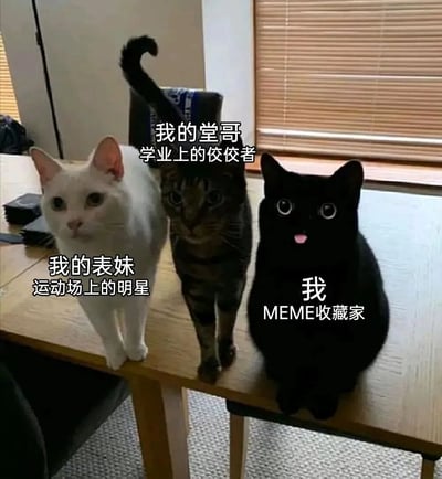 这张梗图展示了三只猫并排的场景，每只猫对应不同的家庭角色标签：白色猫代表运动场上的明星表妹，虎斑猫代表学业优异的堂哥，黑色猫则是自称MEME收藏家的自己。图片通过幽默对比家庭成员特长，突出自身MEME爱好者身份，易引发共鸣。
