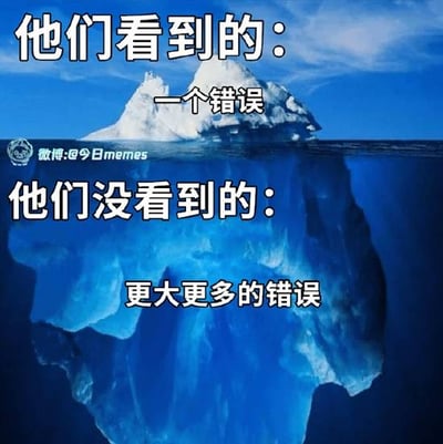 图片以冰山为视觉主体，上方水面部分露出小部分冰山，配文'他们看到的：一个错误'；水下部分则是巨大的冰山主体，配文'他们没看到的：更大更多的错误'。通过冰山隐喻，幽默地讽刺了人们往往只关注表面可见的单一错误，却忽略了其背后更深层、更严重的问题。