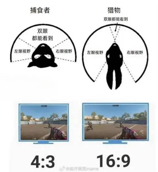 原创科普示意封面