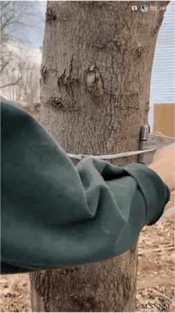 这是一段动态连环GIF，展示了一个趣味视觉整活的全过程：首先男子将带有金属卡扣的树枝靠在树干上，用绳子系住卡扣；接着调整手臂和绳子的位置，从正面视角看去，仿佛他的手臂被卡扣和树枝牢牢锁在了树干上；最后切换到侧面视角，这个视觉错觉被戳穿，能清楚看到男子只是将手臂搭在树干和树枝之间，并没有被锁住。整个过程利用视觉错位制造出搞笑的效果，充满创意和趣味性。