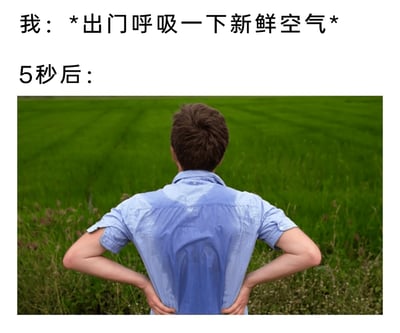 这是一张图文混排的搞笑梗图，上方分为两段文字：第一段是“我：*出门呼吸一下新鲜空气*”，表达了想要出门感受新鲜空气的简单诉求；第二段是“5秒后：”，引出下方的实拍照片。照片中是一位背对着镜头的真人，穿着浅蓝色短袖衬衫，整个后背的衣物都被汗水完全浸湿，呈现出深色的汗渍区域，此人双手叉腰站在一片绿色的田野前，姿态透露出燥热难耐的感觉。图片通过“5秒”这个夸张的时间对比，生动且幽默地吐槽了盛夏高温天气的酷热程度，表现出刚出门就被热到大量出汗的尴尬与无奈，极易引发有相同经历的网友共鸣。