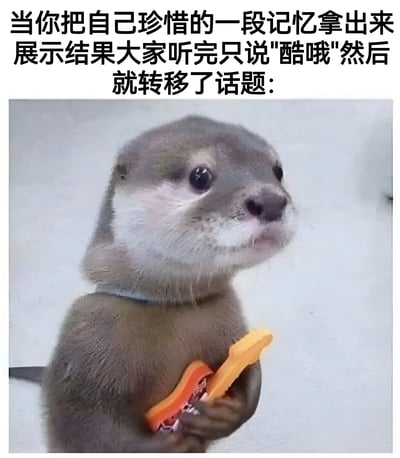图片上方配有文字：'当你把自己珍惜的一段记忆拿出来展示结果大家听完只说"酷哦"然后就转移了话题：'，下方是一只水獭的特写照片。水獭毛色为灰褐色，腹部较浅，脖子上有浅色项圈，双手捧着橙色物体（可能是食物或玩具），抬头看向斜上方，眼神中带着期待与失落，完美契合文字描述的场景——分享珍视记忆却得到敷衍回应时的无奈与尴尬。