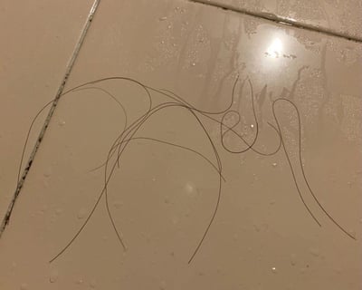 这是一张浴室场景的实拍图，浅米色的湿滑瓷砖表面散落着数根细长的黑色头发，瓷砖上还残留着不少水珠与水渍，能看到瓷砖缝隙的痕迹，看起来是洗浴过程中掉落的头发，这类场景常关联日常脱发、浴室清洁的生活困扰。