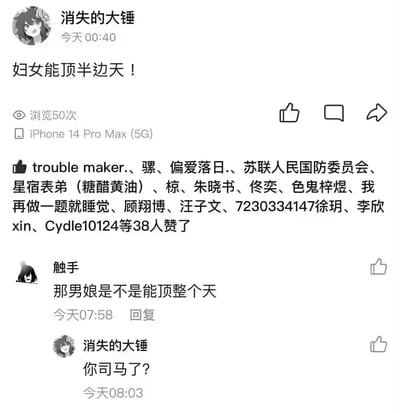 这是一张竖屏的社交媒体动态截图，用户“消失的大锤”使用iPhone 14 Pro Max (5G)在00:40发布了内容“妇女能顶半边天！”，该动态获得50次浏览，trouble maker.等38位用户点赞。之后用户“触手”在07:58发布评论，利用标语字面意思玩梗调侃“那男娘是不是能顶整个天”，“消失的大锤”在08:03回复了攻击性话语“你司马了？”，整体呈现了网络平台上围绕性别平等标语的趣味调侃，以及后续引发的不满回复的场景。