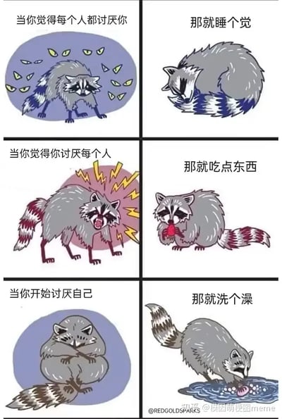 这是一组六格漫画表情包，主角是一只情绪低落、有些颓废的卡通浣熊。左侧三格分别描述了“当你觉得每个人都讨厌你”、“当你觉得你讨厌每个人”和“当你开始讨厌自己”三种负面情绪场景，右侧三格则对应给出温和的自我安慰建议：“那就睡个觉”、“那就吃点东西”、“那就洗个澡”。整体氛围带有轻微丧气和自我调侃的意味，用可爱的浣熊形象来传达“无论遇到怎样的心理压力，其实日常的小动作也能给自己一些治愈和缓解”。可以看出这组图的主要目的是为网络青年提供共鸣与自嘲式心理安慰。

本图并无明显双关、谐音梗或暗示内容，属于温和治愈系表情包。
