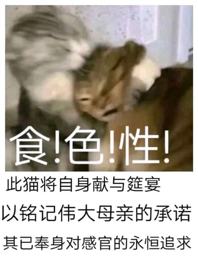 这是一张图文混排的静态恶搞梗图，画面主体是两只猫咪，一只浅灰色条纹猫正咬住另一只橘猫的脖颈，橘猫呈现出被动无力的状态。图中上方配有醒目的加粗文字“食!色!性!”，下方则是三段风格严肃、叙事宏大的文字：“此猫将自身献与筵宴 以铭记伟大母亲的承诺 其已奉身对感官的永恒追求”。创作者用这种严肃庄重的文案，来调侃猫咪之间普通的打闹互动，通过画面的日常感和文字的宏大感形成强烈反差，制造出荒诞搞笑的效果，属于宠物类的趣味恶搞创作。