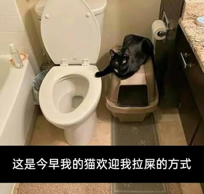 这张图片展示了一个普通卫生间的场景，白色马桶旁摆放着一个封闭式猫砂盆，一只胸口带有白毛的黑猫正趴在猫砂盆顶部，将一只前爪搭在马桶圈上，睁着圆溜溜的眼睛看向镜头。图片下方配文“这是今早我的猫欢迎我拉屎的方式”，画面充满了铲屎官与猫咪之间的趣味互动感，猫咪的姿态仿佛在“监督”或“热情欢迎”主人使用马桶，既搞笑又体现出猫咪黏人又搞怪的日常状态，让人体会到宠物陪伴生活中的温馨与乐趣。
