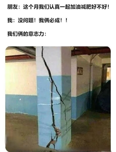 图片上方是朋友和“我”关于一起减肥的对话，朋友提议“这个月我们认真一起加油减肥好不好！”，“我”回应“没问题！我俩必成！！”，下方配图是一根有巨大裂缝的柱子，配文“我们俩的意志力：”，用裂开的柱子形象比喻减肥时意志力薄弱、容易崩塌的状态，充满自嘲和搞笑意味。