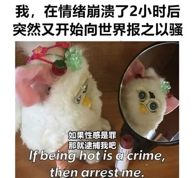 图片上方有文字'我，在情绪崩溃了2小时后突然又开始向世界报之以骚'，中间是一个白色Furbie玩具戴着粉色耳朵和水果装饰，正在照镜子。Furbie面前放着一支口红，图片下方有文字'如果性感是罪那就逮捕我吧'及英文翻译'If being hot is a crime, then arrest me.'。整体呈现出一种情绪低谷后突然自信满满的幽默反差。