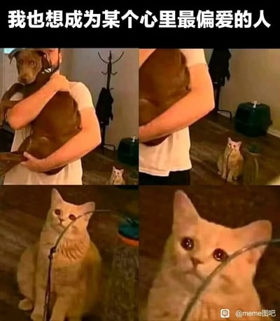 这是一张由四格画面拼接而成的网络表情包，顶部配有文字“我也想成为某个心里最偏爱的人”。画面依次推进：第一格中主人正抱着狗狗，一旁的橘色小猫安静地坐在地上注视着；第二格中主人的身体部分遮挡住狗狗，小猫的存在感更强；第三格和第四格是小猫的特写，小猫双眼含泪，神情委屈又带着渴望，将羡慕他人被偏爱、自己也渴望成为某人心中唯一偏爱的情绪生动传递出来，精准戳中了人们害怕被忽视、渴望获得专属关注的细腻心理，容易引发广泛的情感共鸣。