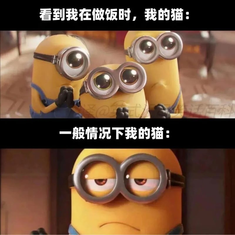小黄人