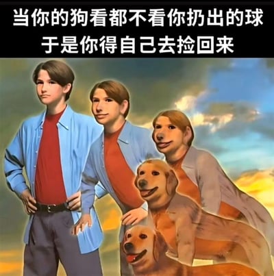图片上方配有文字“当你的狗看都不看你扔出的球 于是你得自己去捡回来”，下方是一幅幽默图像：三个身着蓝色衬衫和红色内搭的拟人化角色（头部为狗脸）与两只金毛犬并排站立，背景是多云的天空。整体通过夸张的角色设计和文字描述，调侃宠物狗对主人扔球行为的无视，以及主人不得不自己捡球的无奈又搞笑场景。