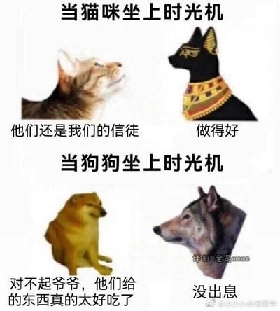 这是一张上下对比式的图文混排梗图，通过“时光机穿越”的设定，将猫咪和狗狗的古今状态进行反差对比制造笑点。上半部分主题为“当猫咪坐上时光机”，左侧是一只抬头仰望的现代家猫，配文“他们还是我们的信徒”；右侧是古埃及神话中的猫神贝斯特，配文“做得好”，对应古埃及人将猫奉为神明、十分尊崇的历史文化，体现猫咪从古至今都被人类喜爱尊崇的地位。下半部分主题为“当狗狗坐上时光机”，左侧是知名的Doge柴犬表情包，配文“对不起爷爷，他们给的东西真的太好吃了”；右侧是狼（狗狗的祖先），配文“没出息”，调侃现代狗狗相比野性的祖先，因为依赖人类提供的食物而变得温顺讨好，形成和猫咪截然不同的反差感，整体幽默有趣，结合了历史文化和动物演化的常识，用反差感戳中笑点。