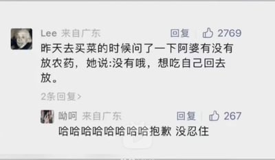 这是一张社交媒体评论区截图，展示了两条网友评论：第一条是来自广东的用户Lee分享的生活趣事，称自己买菜时询问卖菜阿婆菜有没有放农药，阿婆给出冷幽默回复“没有哦，想吃自己回去放”，该评论获得2769个点赞；第二条是同样来自广东的用户呦呵的回复，内容为大笑表示自己没忍住笑，获得267个点赞，整体内容充满趣味，属于网络搞笑段子类内容。