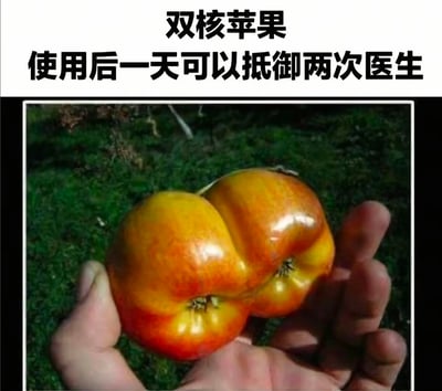 图片上方有文字"双核苹果 使用后一天可以抵御两次医生"，下方是一只手握着两个连在一起生长的苹果。这是对英语谚语"An apple a day keeps the doctor away"(一天一苹果，医生远离我)的幽默改编，通过自然生长的连体苹果创造出"双核"概念，暗示效果加倍。