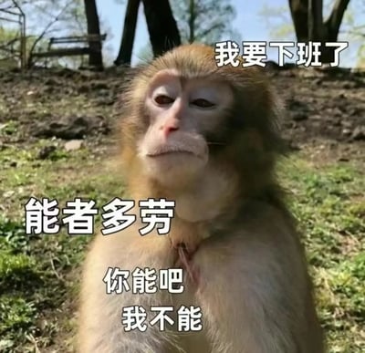 这是一张职场主题的搞笑梗图，主体是一只双臂交叉抱在胸前的猕猴，它眼神涣散、嘴角下撇，神态倦怠又生无可恋，完美复刻了当代打工人下班前的疲惫状态。图片上方配文“我要下班了”，下方配文“能者多劳 你能吧 我不能”，通过拟人化的手法，直白地表达了打工人不想加班、拒绝被“能者多劳”道德绑架的摸鱼心态，精准戳中职场人的情绪痛点，很容易引发共鸣，常被用于社交平台吐槽职场加班文化。