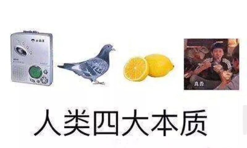 人类四大本质