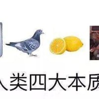 人类四大本质