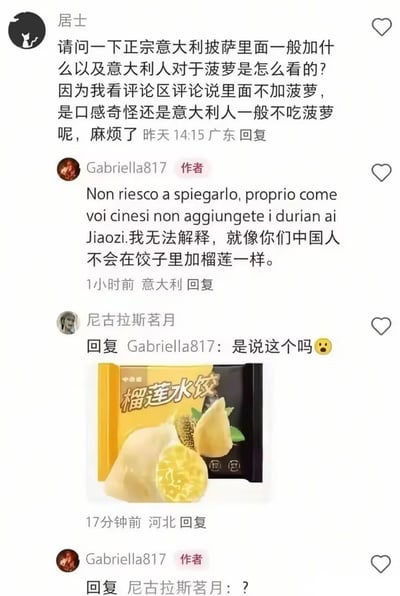 这是一张竖屏手机格式的中文社交媒体评论区截图，内容围绕“正宗意大利披萨是否添加菠萝”展开充满反差感的趣味问答：首先用户“居士”发起提问，询问正宗意大利披萨的常规配料，以及意大利人对菠萝放入披萨的看法，表示自己看到说法称正宗披萨不会加菠萝，想要了解原因是口感问题还是饮食习惯问题。定位在意大利的答主Gabriella817回复，先用意大利文表述后翻译成中文，用类比的方式表达“这无法理解，就像中国人不会把榴莲放进饺子里一样”，表达对菠萝披萨的不认同。随后网友“尼古拉斯茗月”回复答主，附上了一款市售“榴莲水饺”的产品包装图，反问答主“是说这个吗”，最终答主只回复了一个问号，表达自己的惊讶与意外。整个内容因为打破了答主的刻板印象形成有趣的反差效果，十分搞笑。