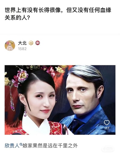 这是一张来自小红书的社交媒体问答截图，顶部提问“世界上有没有长得很像，但又没有任何血缘关系的人？”，用户“大北”发布了一张左右拼接图作为回答：左侧是清宫剧《甄嬛传》中欣贵人（万美汐饰演）的剧照，她身着清代宫廷服饰，面带温婉微笑；右侧是丹麦演员麦斯·米科尔森的现代西装写真，他神情冷峻。两人眉眼轮廓高度相似，用户配文“欣贵人娘家果然是远在千里之外”，用玩梗的方式调侃这对跨国籍的无血缘撞脸组合，该回复获得了1582个点赞，拼接图本身也获得117个点赞。