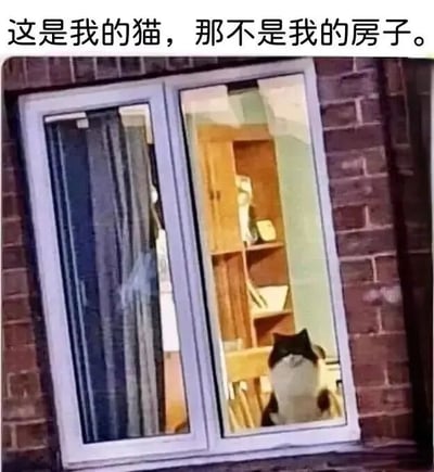 图片展示了一栋砖墙建筑的窗户，窗内有一只黑白相间的猫正坐在窗边向外张望。窗户玻璃清晰地映出室内的书架和部分家具。图片上方配有文字：'这是我的猫，那不是我的房子。' 内容通过幽默的对比，表达了虽然拥有宠物猫但并不拥有所居住房子的常见生活状态，引发共鸣。