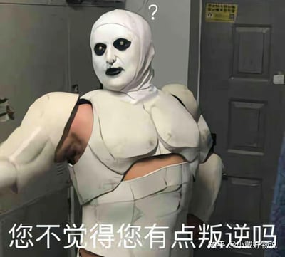 这张图片是一则流行网络梗，画面中一名男子穿着自制的“盔甲”，背向镜头站在门前，头上配有疑问“？”符号，整幅画面配以显眼的吐槽字样“您不觉得您有点叛逆吗”。这类自制道具加日常场景的反差制造出一种无厘头幽默，常用来表达对不合常规、另类行为的调侃或质疑。有“行为另类”、“反差萌”和“官方质感质问”的双关意味。
