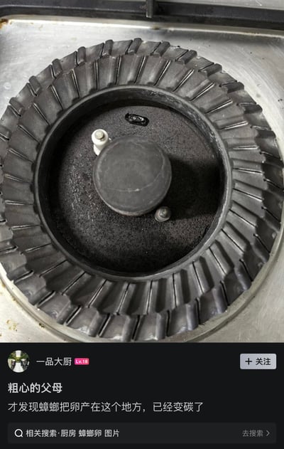 这张图属于社交媒体分享内容，上半部分是家用燃气灶炉头的实拍照片，炉头内部可以看到一个已经被高温烧至碳化的蟑螂卵；下半部分是发布者的配文，称自己刚发现蟑螂将卵产在燃气灶炉头的位置，卵已经被烧成碳。该内容玩了动漫《鬼灭之刃》主角“炭治郎”的谐音梗，将碳化的蟑螂卵调侃为“碳治螂”，趣味性较强。