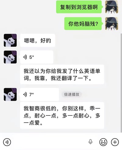这是一张即时通讯软件的聊天记录截图，呈现了两位网友的对话内容，形成强烈反差：右侧发言者头像是黑发动漫角色，先是提醒对方「复制到浏览器啊」，见对方操作不当后直接爆粗质问「你他妈脑残？」，脾气十分暴躁；左侧发言者头像是白色卡通猫表情包，面对指责反应温和，先是回复「嗯嗯，好的」，之后解释自己误以为对方发的是英语单词还特意去翻译了，最后软乎乎地示弱，表示自己智商很低，请求对方乖一点、多给点耐心和爱，整体对话笑点十足，呼应了配文「我的智商是左边但我的脾气是右边」的吐槽。