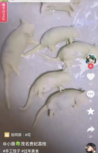 这张图片展示了一些手工制作的饺子，但它们被巧妙捏成了猫咪的造型，乍一看像是一群猫咪趴在盘子里休息，充满创意和萌感。通过创意美食与猫咪元素的结合，带来既搞笑又治愈的视觉错位体验。图片引发大家关于年味、美食和动物梗的兴趣，也适合晒年夜饭或分享给喜欢猫的人。这类“形似梗”非常流行于短视频平台，容易造成初看时的趣味误认。

无明显谐音、暗示或双关元素。