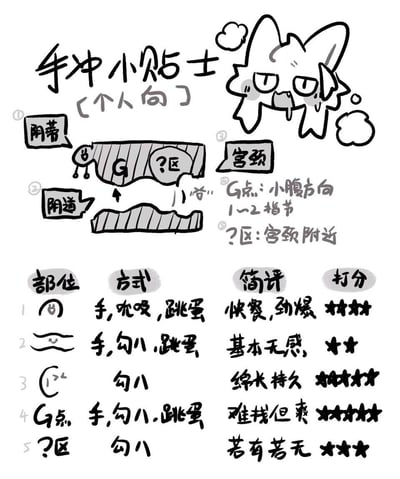 这是一张个人向的女性自慰（手冲）体验小贴士手绘涂鸦图，以黑白手绘形式标注了女性生殖器官的阴蒂、阴道、宫颈、G点、?区五个部位，明确了G点（小腹方向1~2指节）和?区（宫颈附近）的位置，并通过表格对每个部位的刺激方式、体验感受进行简评和星级打分，整体为个人私密经验的直白分享，风格私密直白，属于性知识经验类个人总结内容，无谐音梗或双关含义。