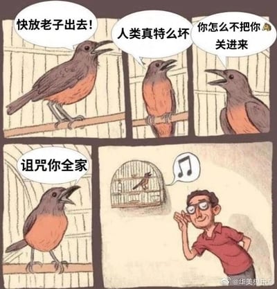 这是一幅四格连环卡通漫画，前三格通过只绘制笼子栏杆的视觉误导，让读者以为一只胸腹橙红、背部深褐的小鸟被关在笼子里：它站在栏杆上，愤怒地张嘴叫嚷，接连喊出“快放老子出去！”“人类真特么坏”“你怎么不把你🐶关进来”“诅咒你全家”，情绪十分激动，仿佛在控诉人类的囚禁行为。第四格则揭晓了荒诞的真相：这只愤怒的小鸟其实站在笼子外面，真正被关在笼子里的是一只体型更小的小鸟，旁边的红衣服戴眼镜人类正手放在耳边，哼着歌，完全没理会这只搞错自身处境的小鸟，前后的反差制造出强烈的搞笑效果。