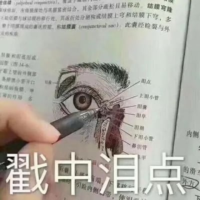 图片展示了一页医学解剖学课本内容，中央是一幅精细的眼睛局部解剖图，标注有“泪点”“上泪小管”“泪囊”“泪阜”“下泪小管”“鼻泪管”等结构名称。一只手握着黑色钢笔，笔尖正精准指向图中的“泪点”解剖部位。图片底部叠加了醒目白色大字“戳中泪点”，形成巧妙双关——既指钢笔物理性“戳”向解剖学上的泪点结构，又谐音网络用语“戳中泪点”（意为触动情感痛点），通过医学专业内容与日常梗的碰撞制造幽默效果。