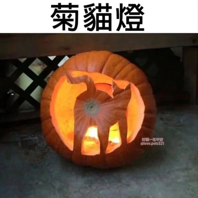 一张创意南瓜灯照片，主体是一个雕刻成猫咪形状的南瓜灯，内部点亮后透出温暖的橙黄色光芒。南瓜上方有黑色文字标题“菊猫灯”，利用谐音梗将“南瓜灯”与“猫咪”结合，创造出有趣的视觉效果。背景中可以看到木质结构和格子窗，营造出温馨的节日氛围。