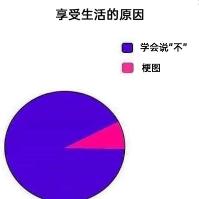 这是一张趣味饼图梗图，标题为“享受生活的原因”，饼图以夸张的占比对比传递生活观点：占比绝大多数的紫色区域代表“学会说‘不’”，占比极小的粉色区域代表“梗图”，幽默地表达了学会拒绝不必要的人和事是享受生活的核心因素，而观看趣味梗图是其中的小乐趣，风格轻松诙谐，贴近当代年轻人的生活态度。