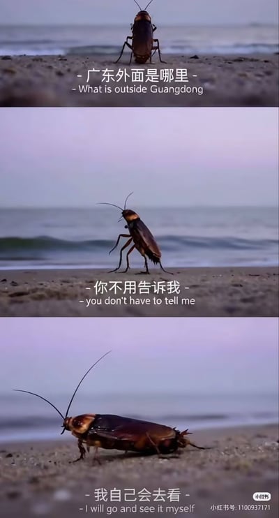 三格竖版拼接梗图，每格均为海滩背景上的蟑螂特写。第一格蟑螂面对大海配文“- 广东外面是哪里 - What is outside Guangdong”；第二格蟑螂转头配文“- 你不用告诉我 - you don't have to tell me”；第三格蟑螂向前迈步配文“- 我自己会去看 - I will go and see it myself”。通过拟人化蟑螂的对话，幽默调侃广东人对省外世界的好奇与探索欲。